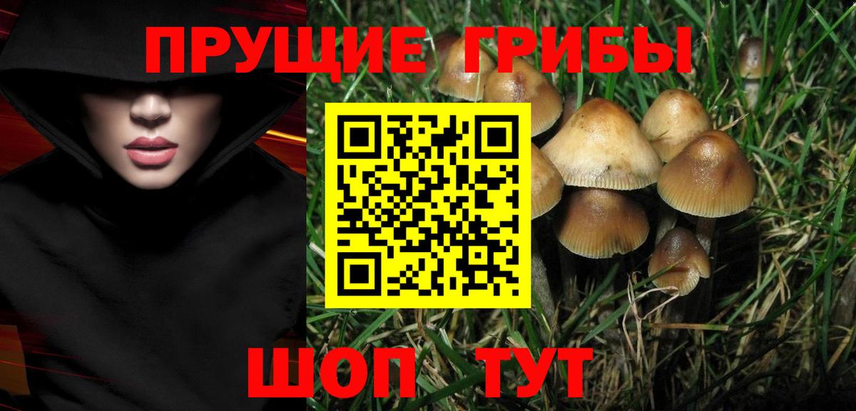 купить наркотики сайты  Псилоцибиновые грибы Psilocybine cubensis  Улан-Удэ  Вход с VPN  Галлюциногенные грибы Cubensis 